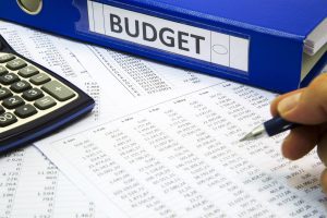 Budgeting Local Governments