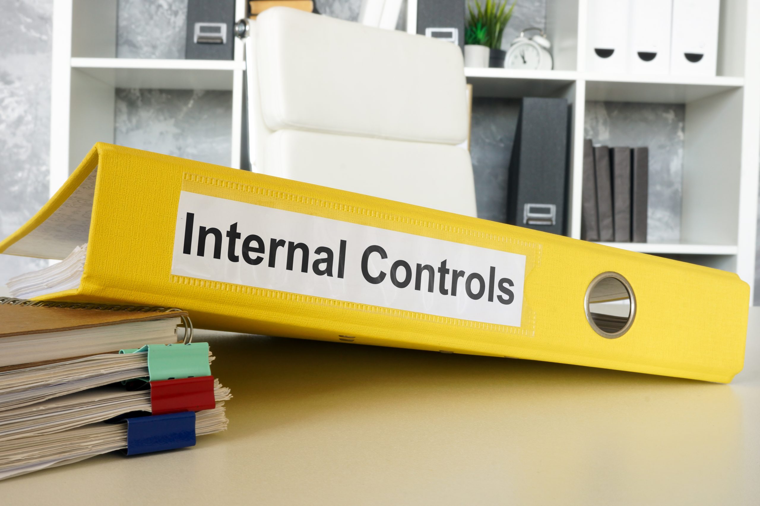 Building Strong Internal Controls for Business Growth